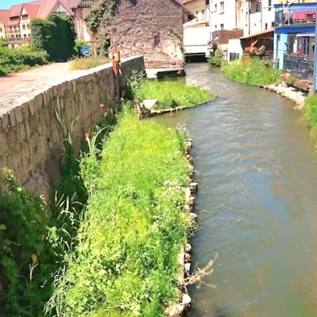 L'atypique Des Remparts * Ensisheim