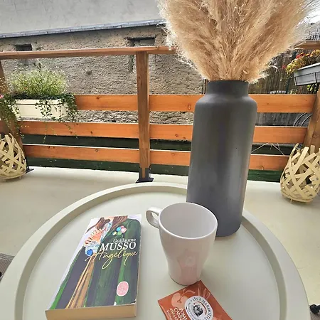 L'atypique Des Remparts * Ensisheim