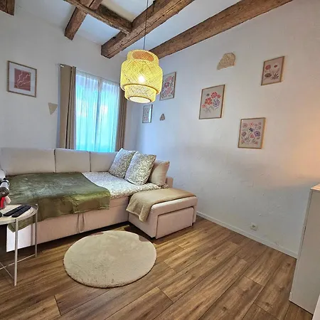 Nyaraló L'atypique Des Remparts Ensisheim