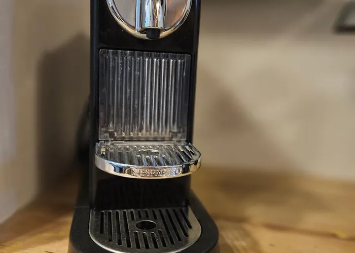 L'atypique Des Remparts Nyaraló Ensisheim